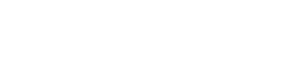 Terra Drone Logo Long Light