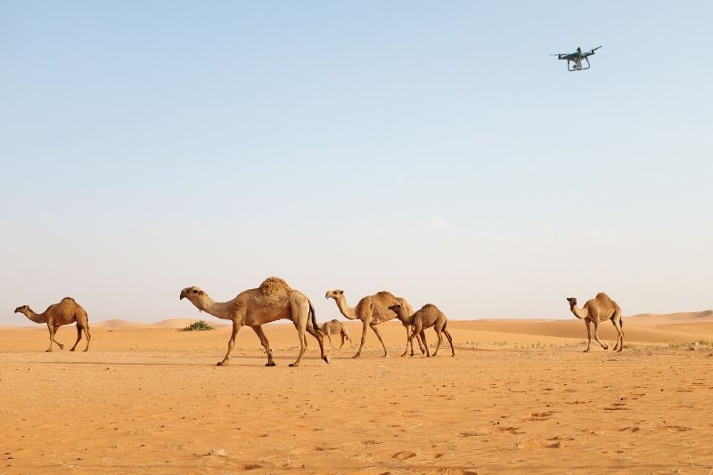 Following drone regulations in Saudi Arabia is essential for safe and compliant drone operations.