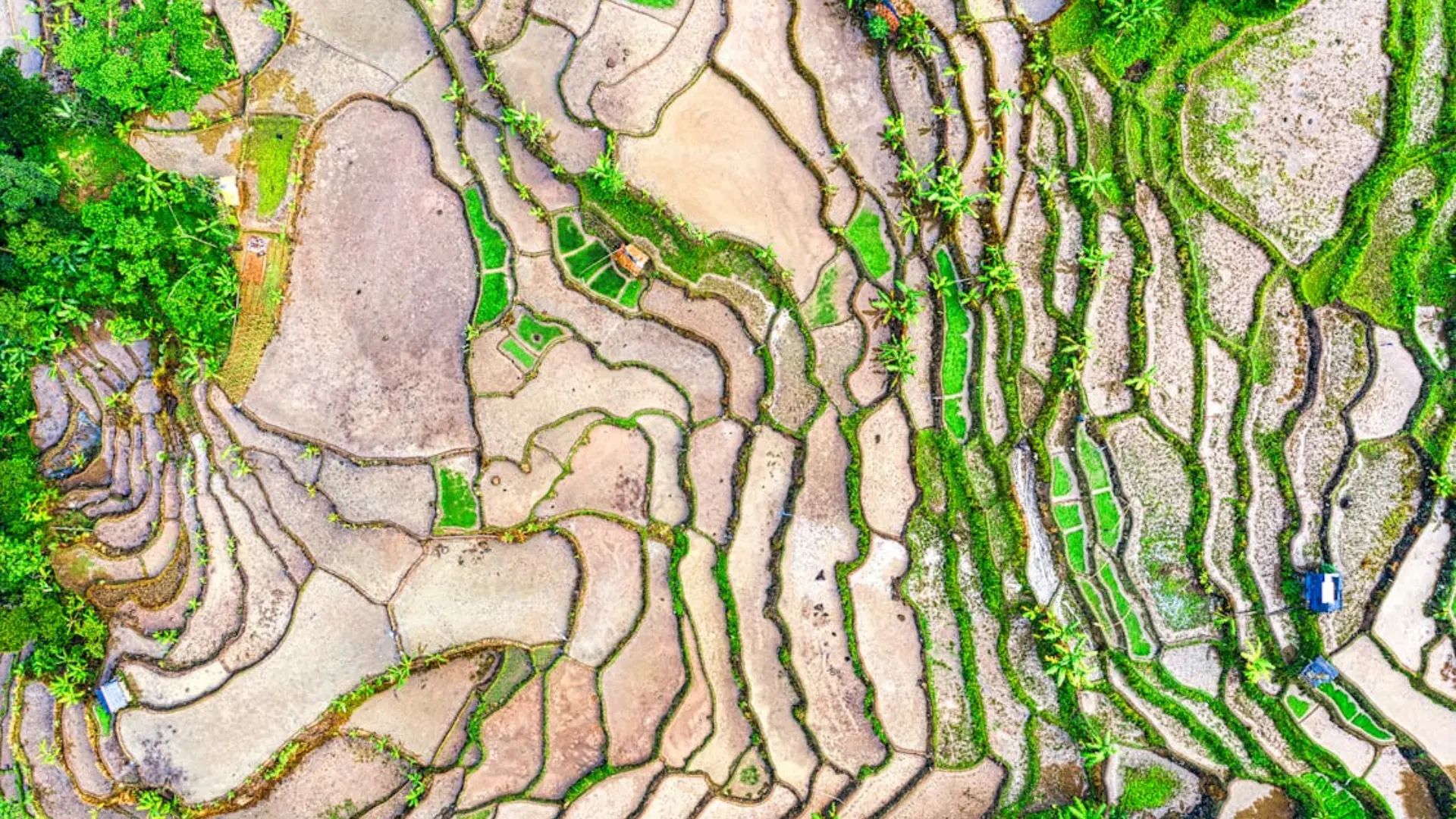 Satellite image of agricultural fields with crop zones and topographic details.