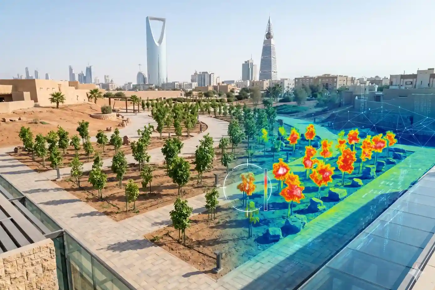 A side-by-side visual comparison showing a row of green desert trees as seen by the human eye versus their elevated canopy temperature through a sensor.